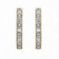 Boucles d'oreilles OR Jaune & Blanc 750 ml Diamants